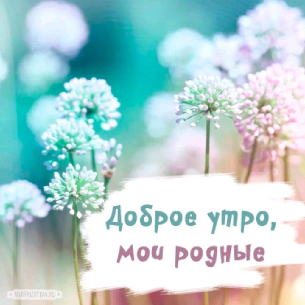 Доброе утро хорошего настроения
