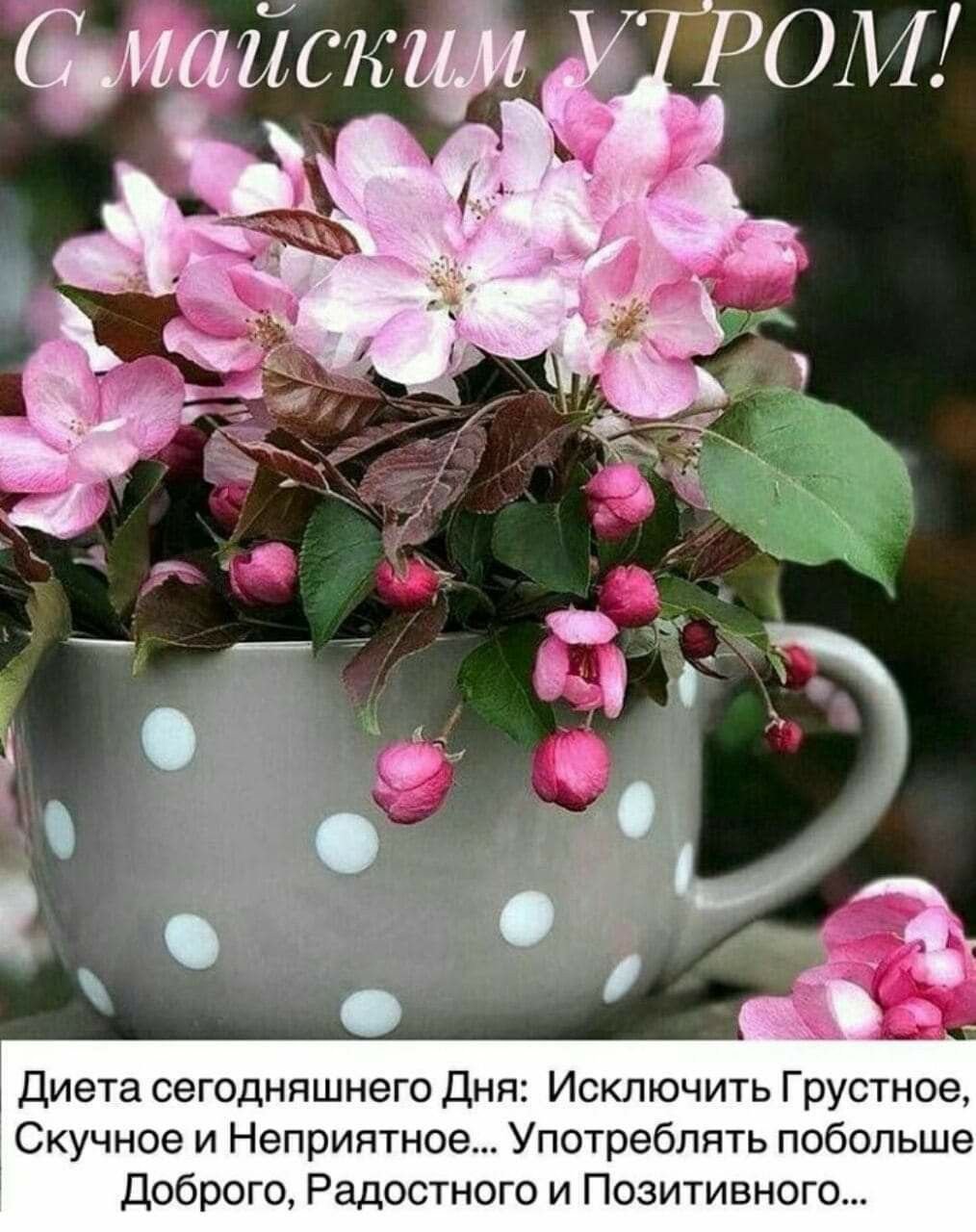 Кофе утро стильные