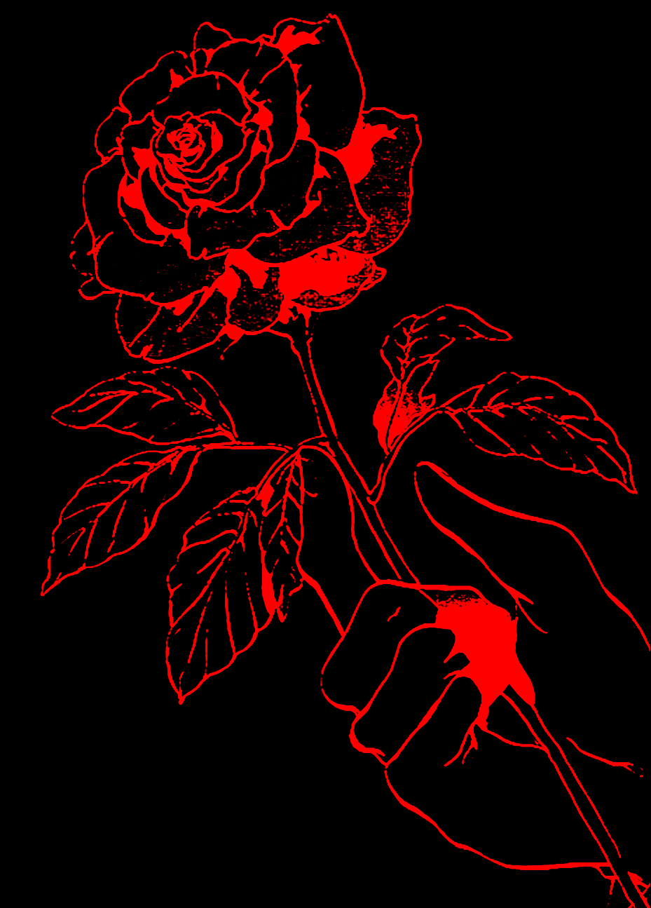 Чёрно красная Эстетика