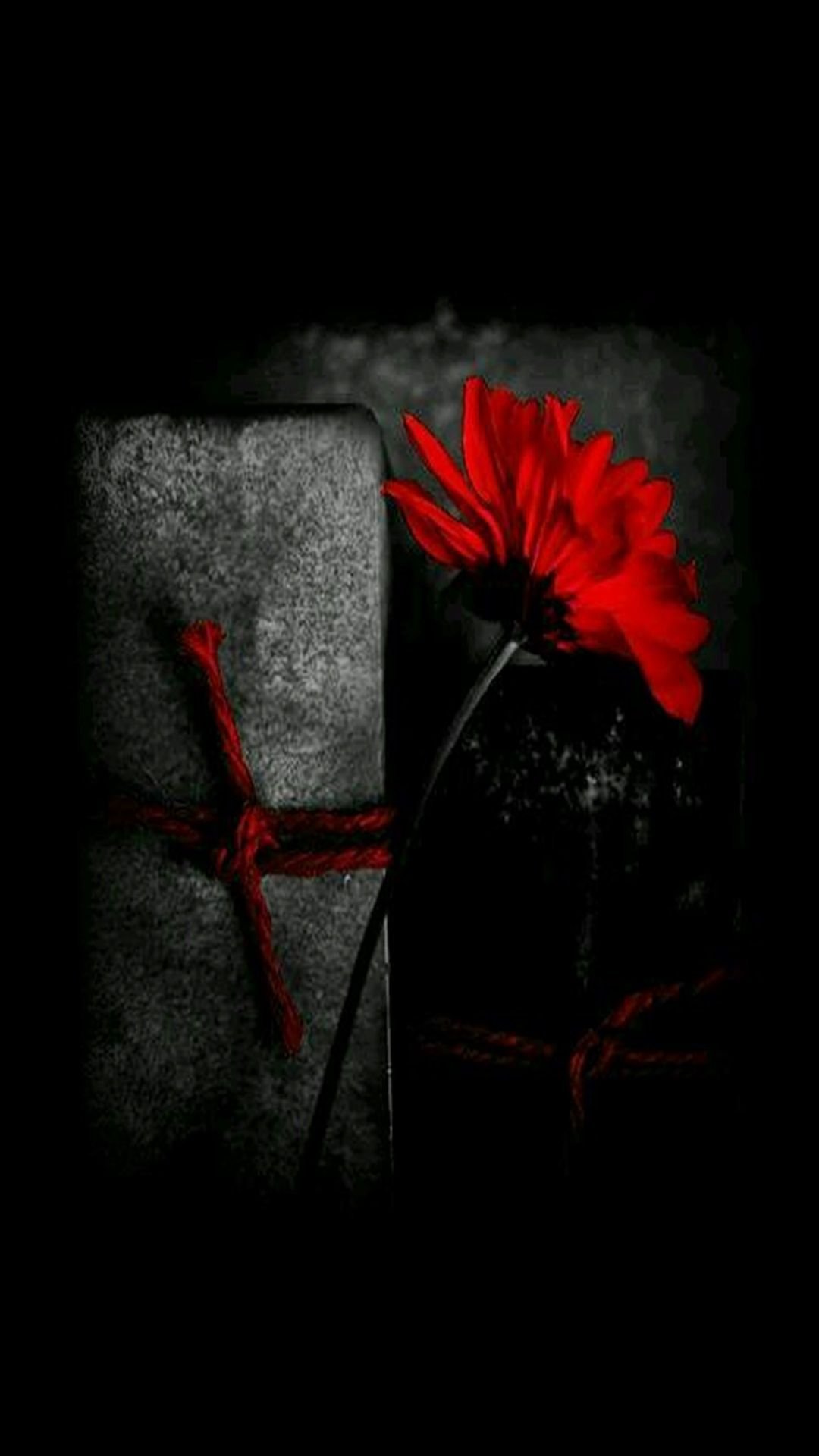 Красное и черное