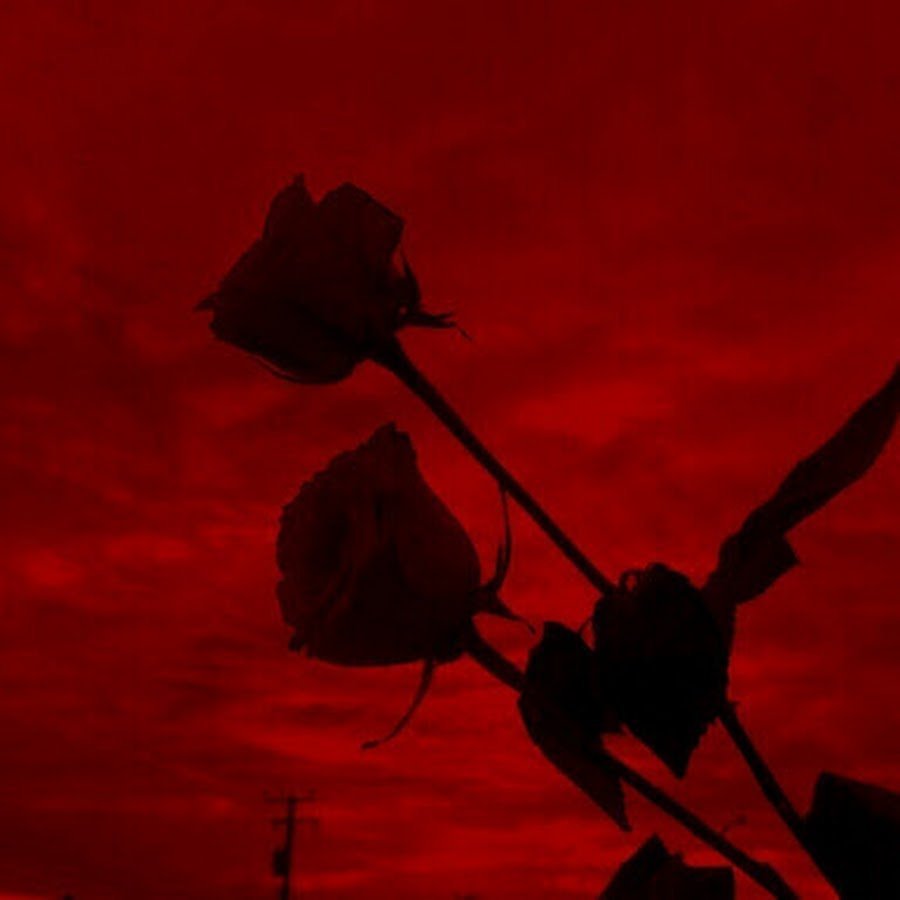 Эстетика красного цвета