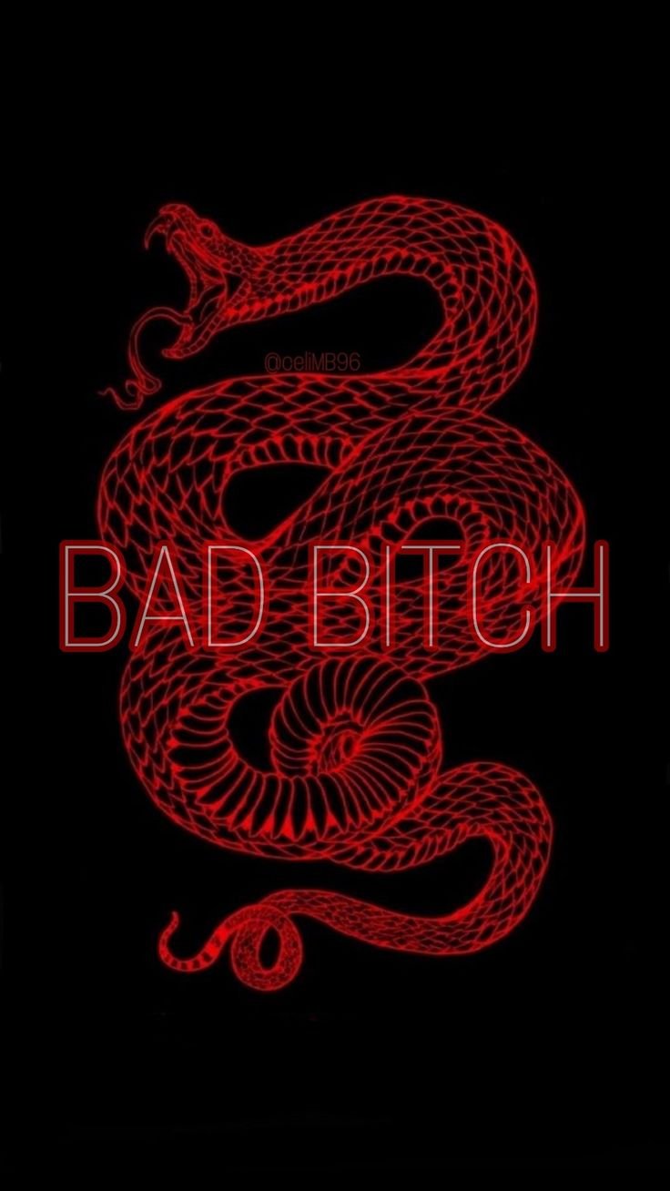 Змея на черном фоне