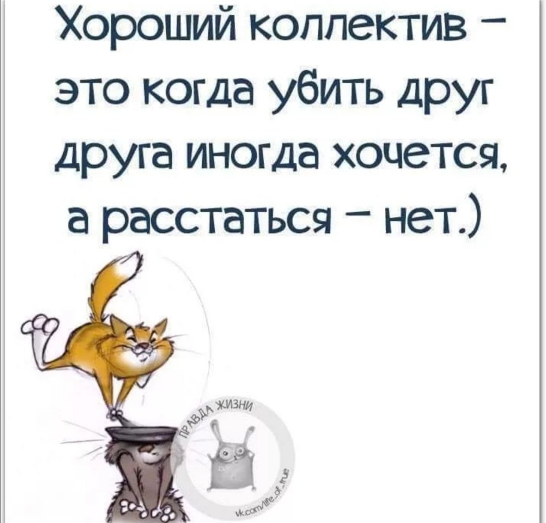 Курсовая приколы