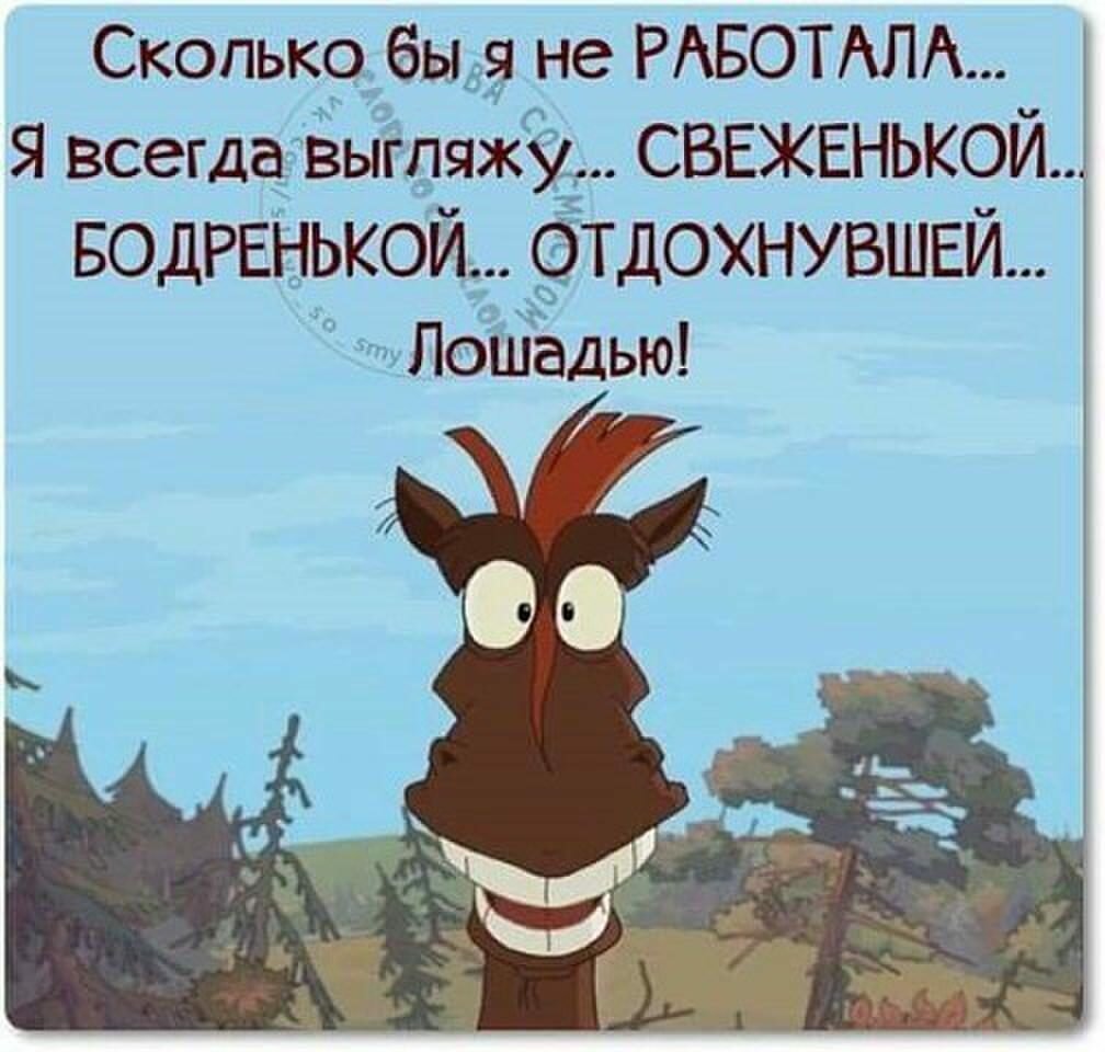 Рабочие приколы цитаты