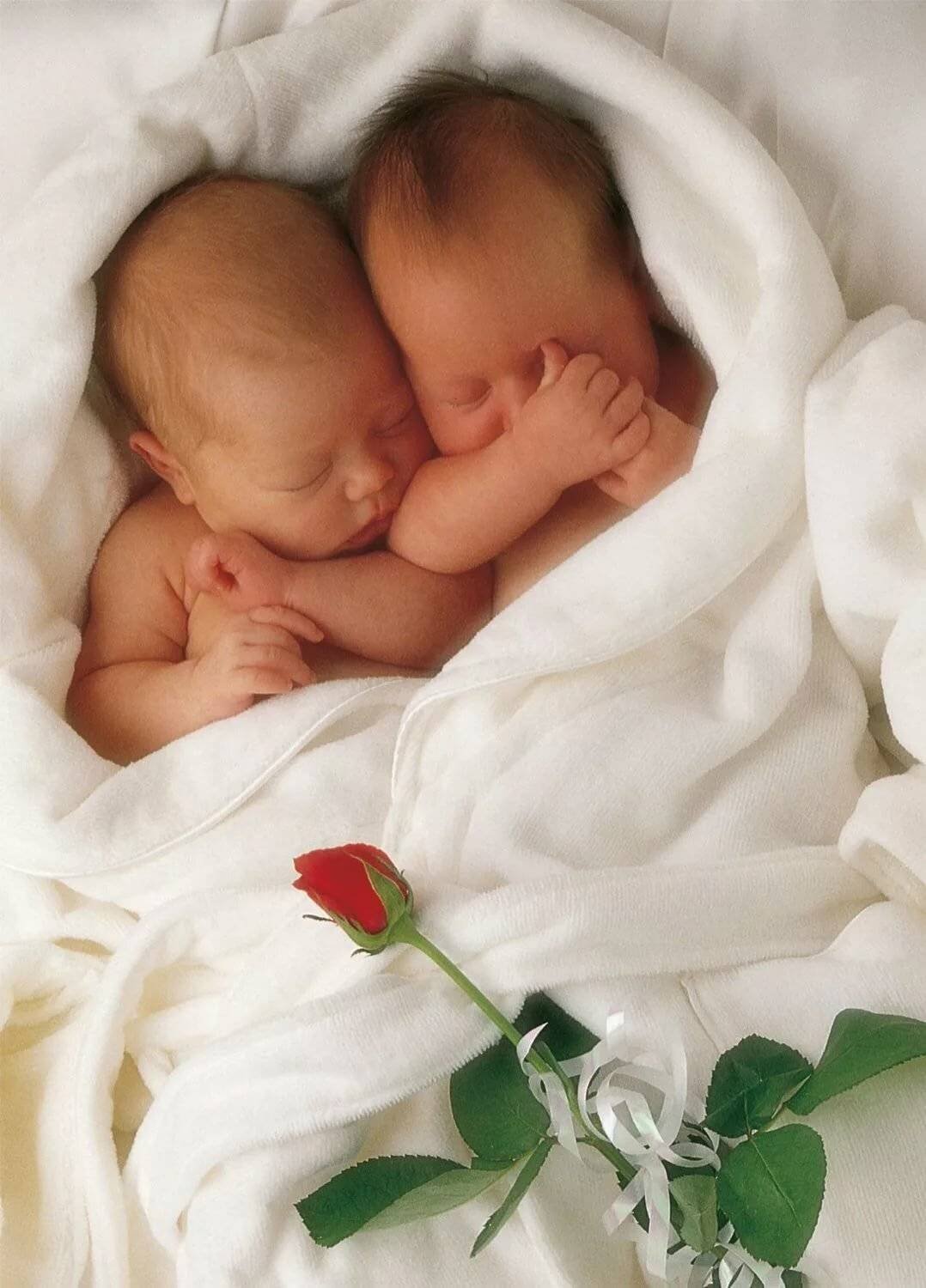 Поздравляю с двойней