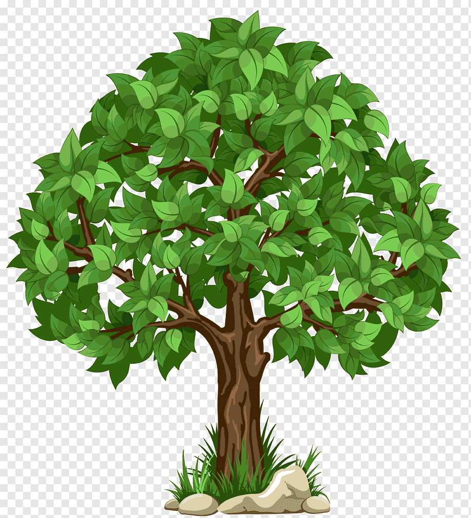 Нарисовать дерево