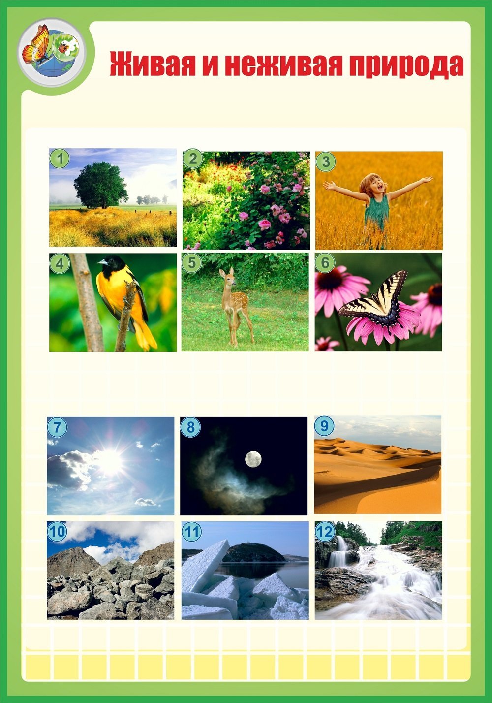 Живая и нен Живвая природа