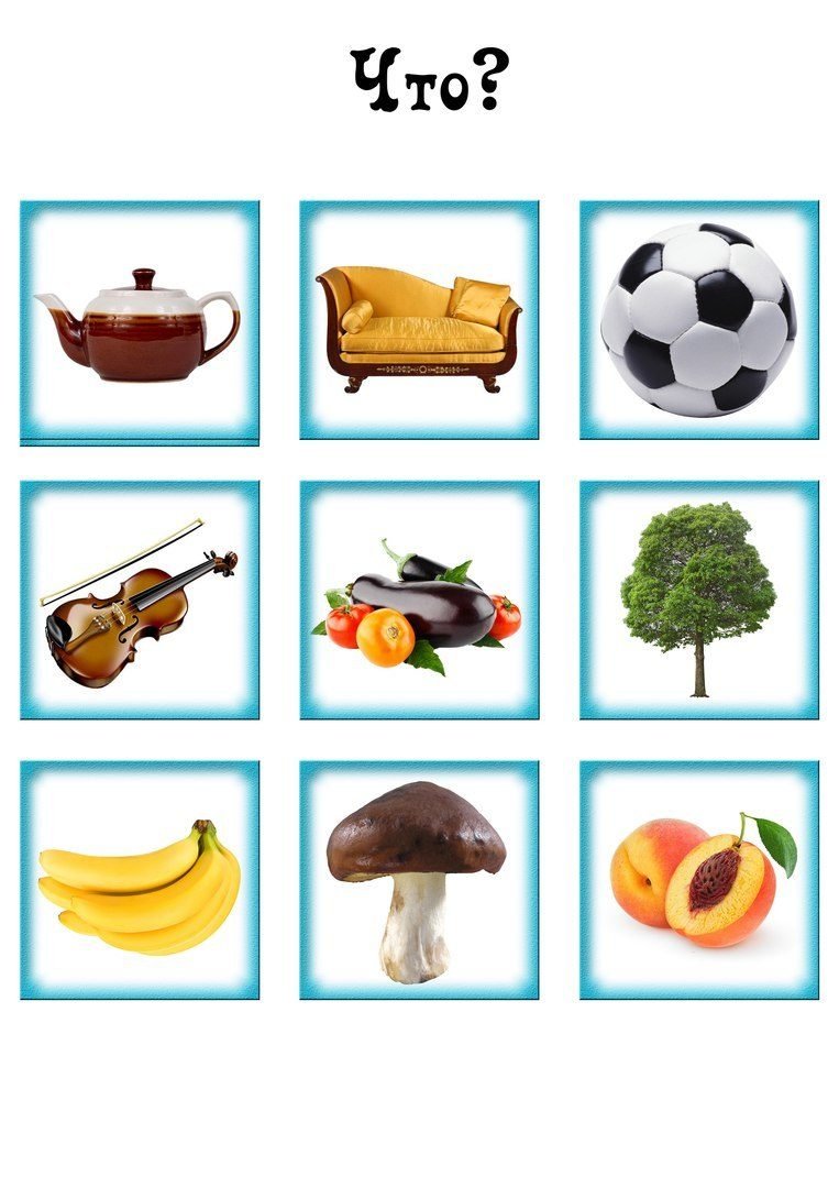 Живое неживое для дошкольников