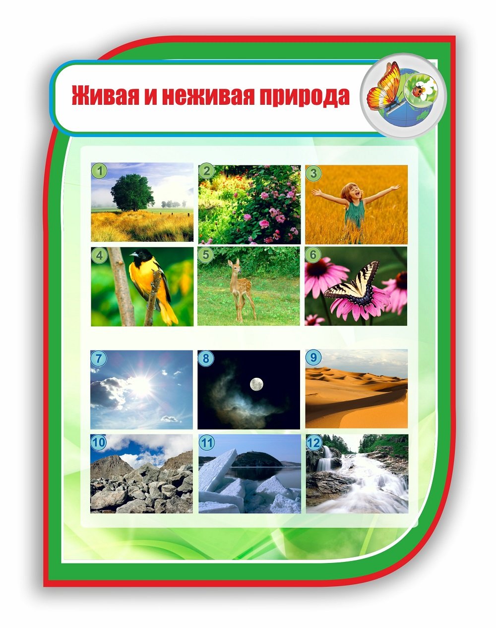 Дивая и не Дивая природа