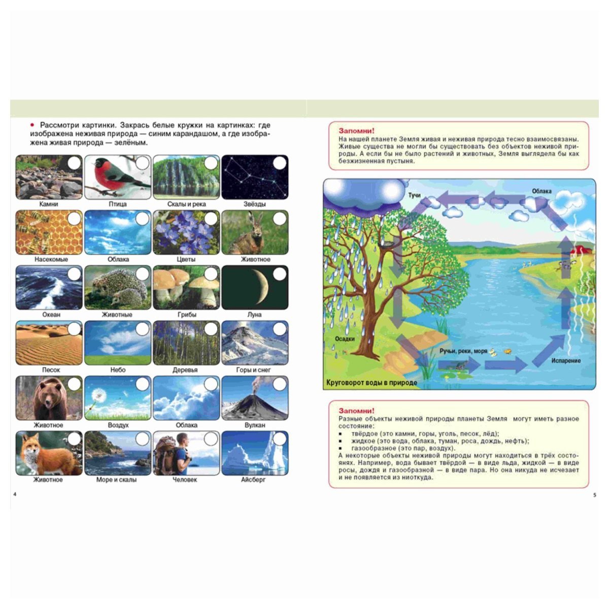 Игра "чей домик" для детей 2-3 лет