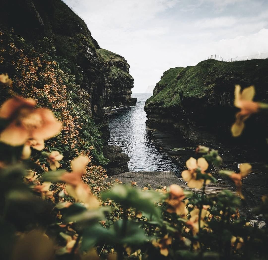 Природа Вдохновение