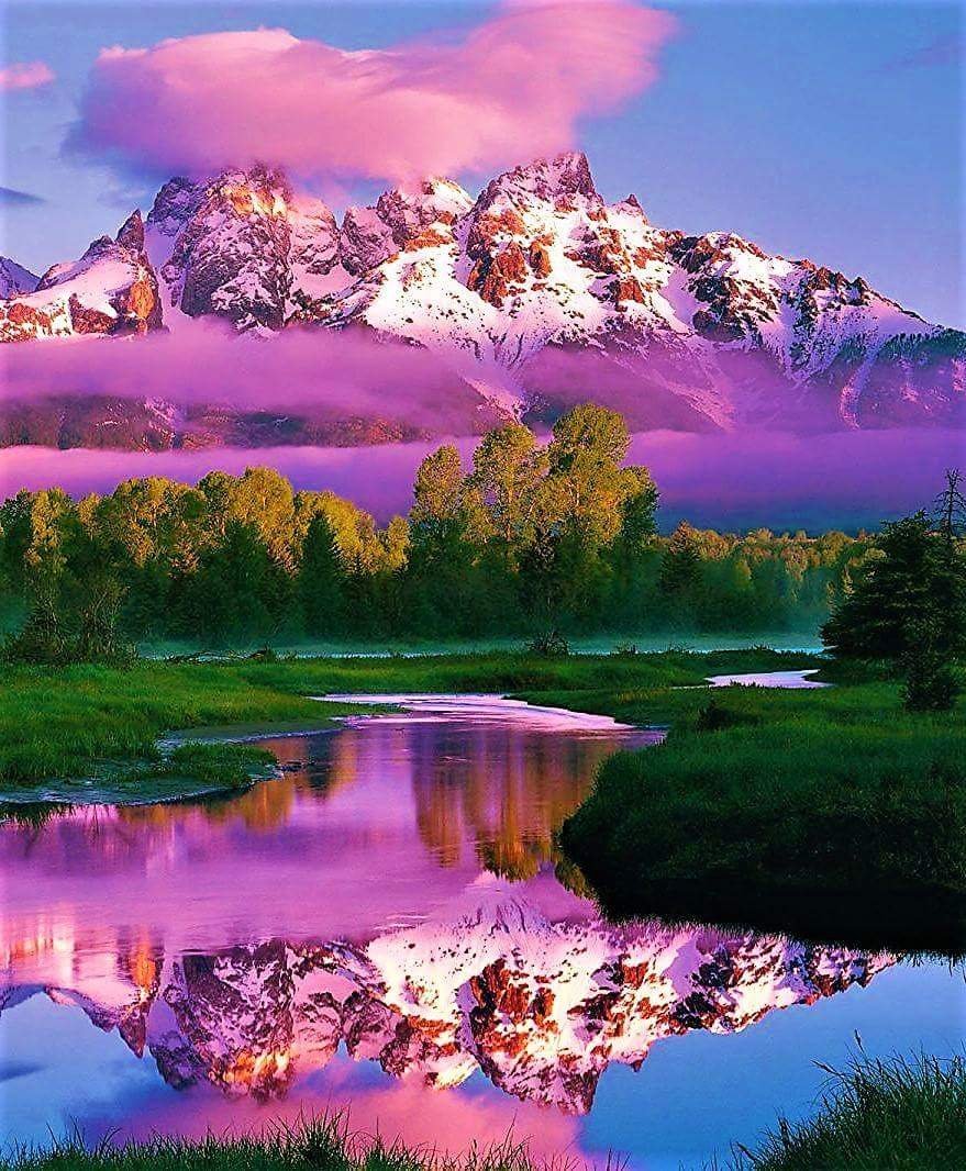 Красота природы