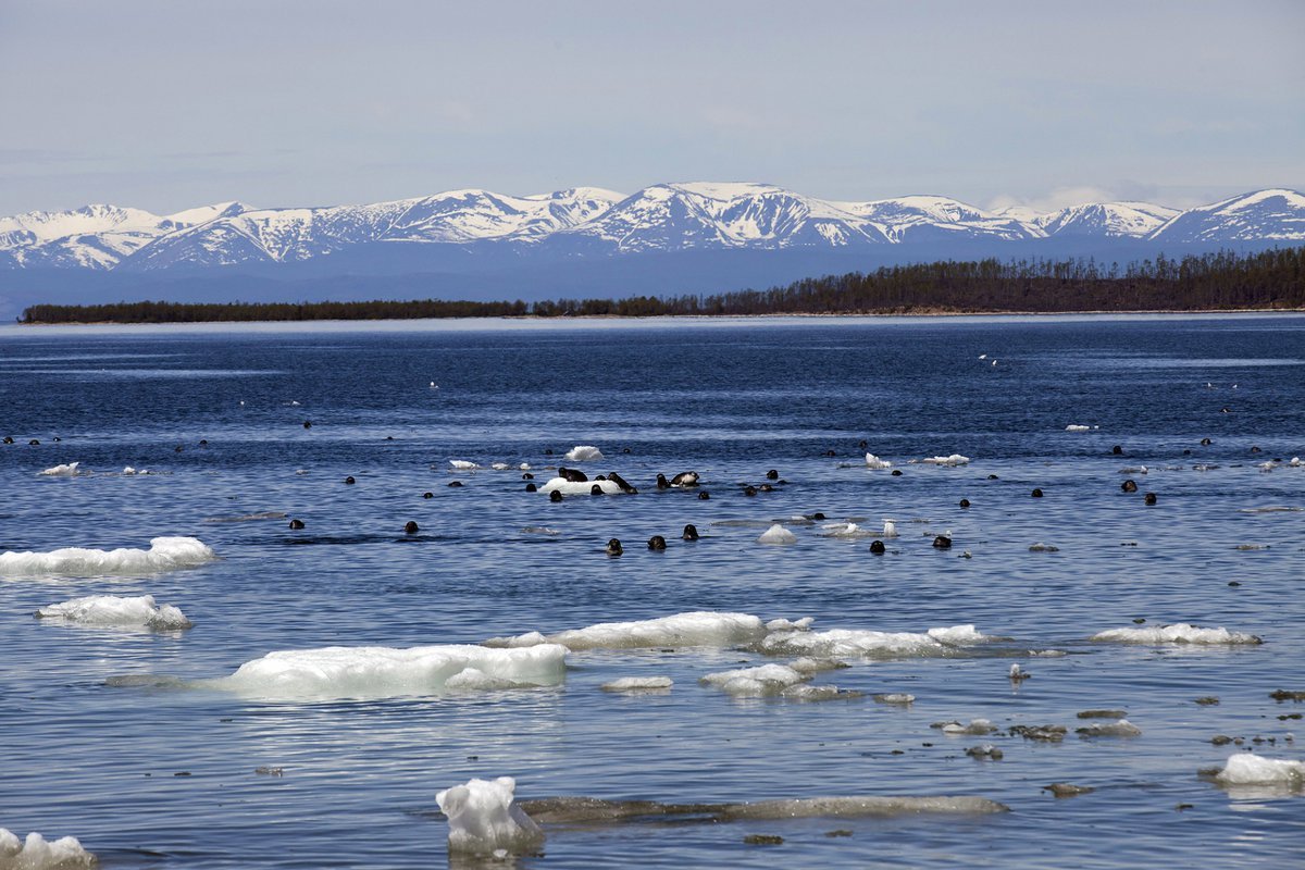 Озеро Нерпичье Камчатка