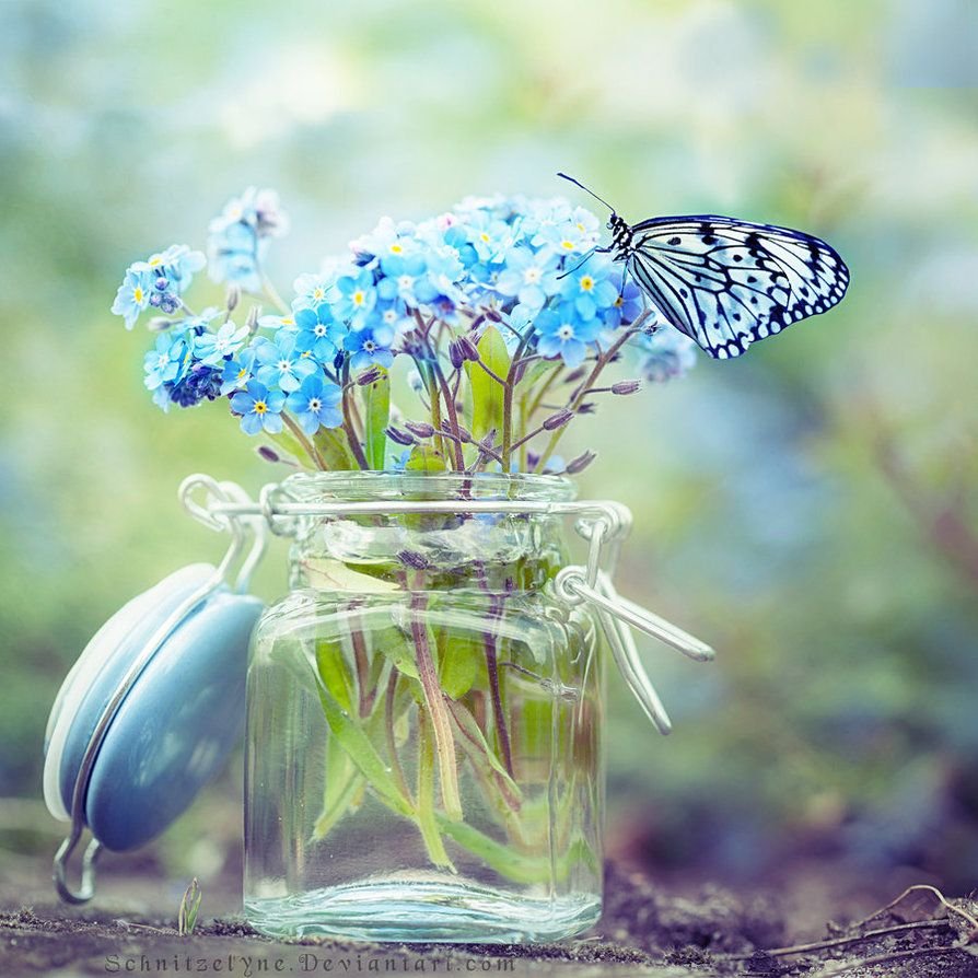 Добрая красивая женщина