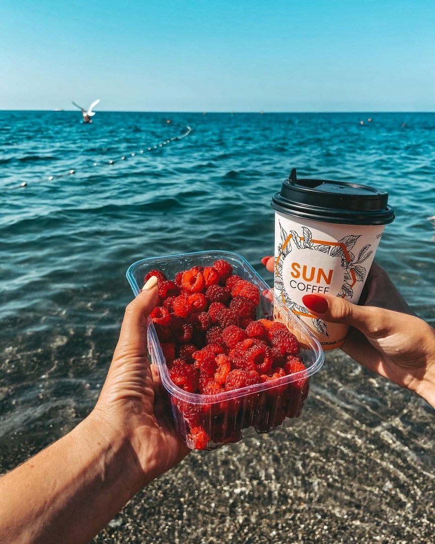 Мимоза в Гаграх