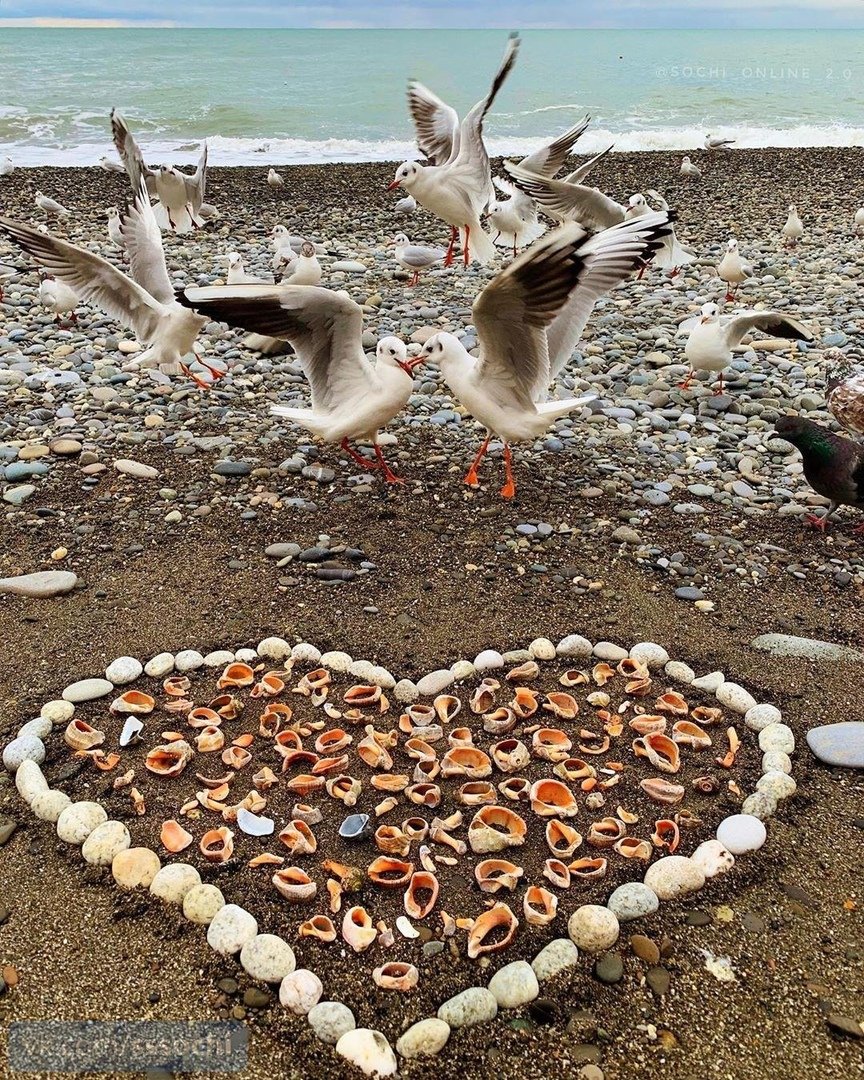 Горящий тур в Сочи