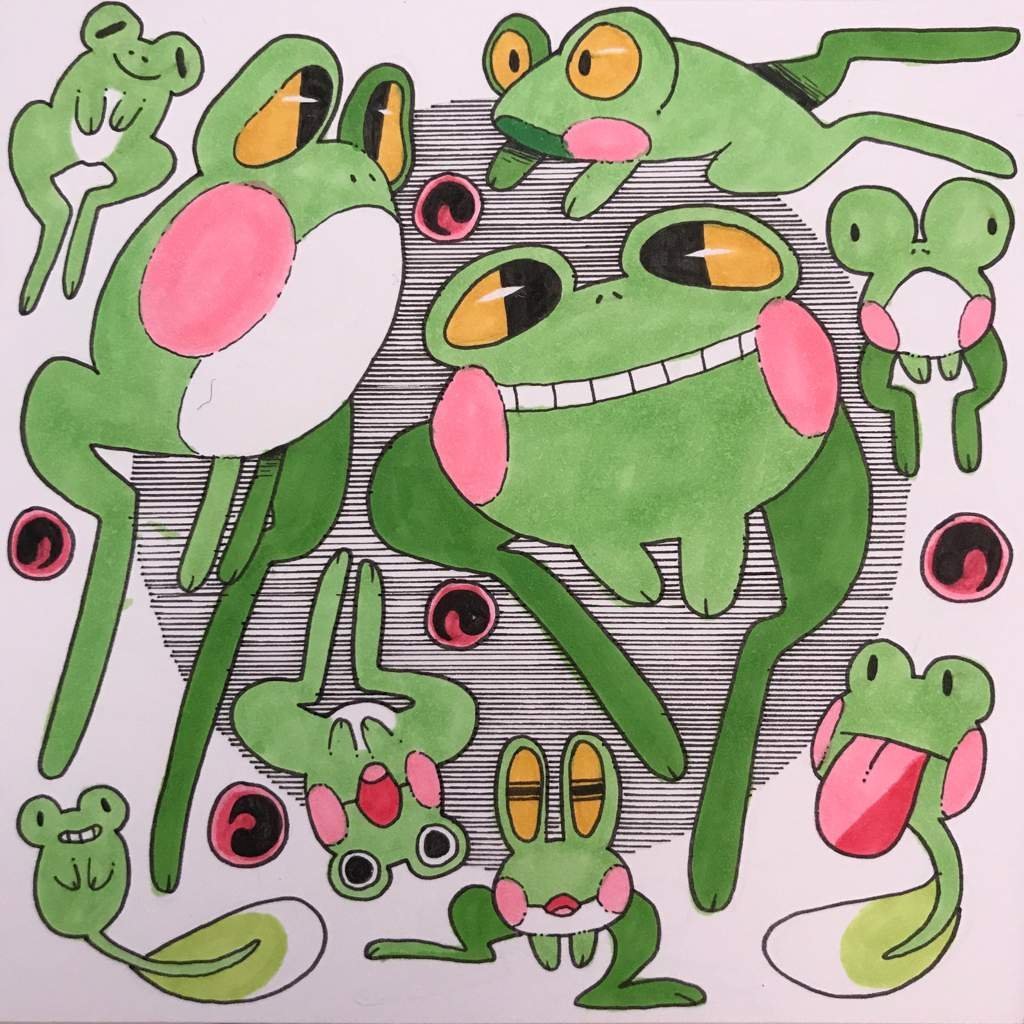 Рисунки лягушки из пинтереста