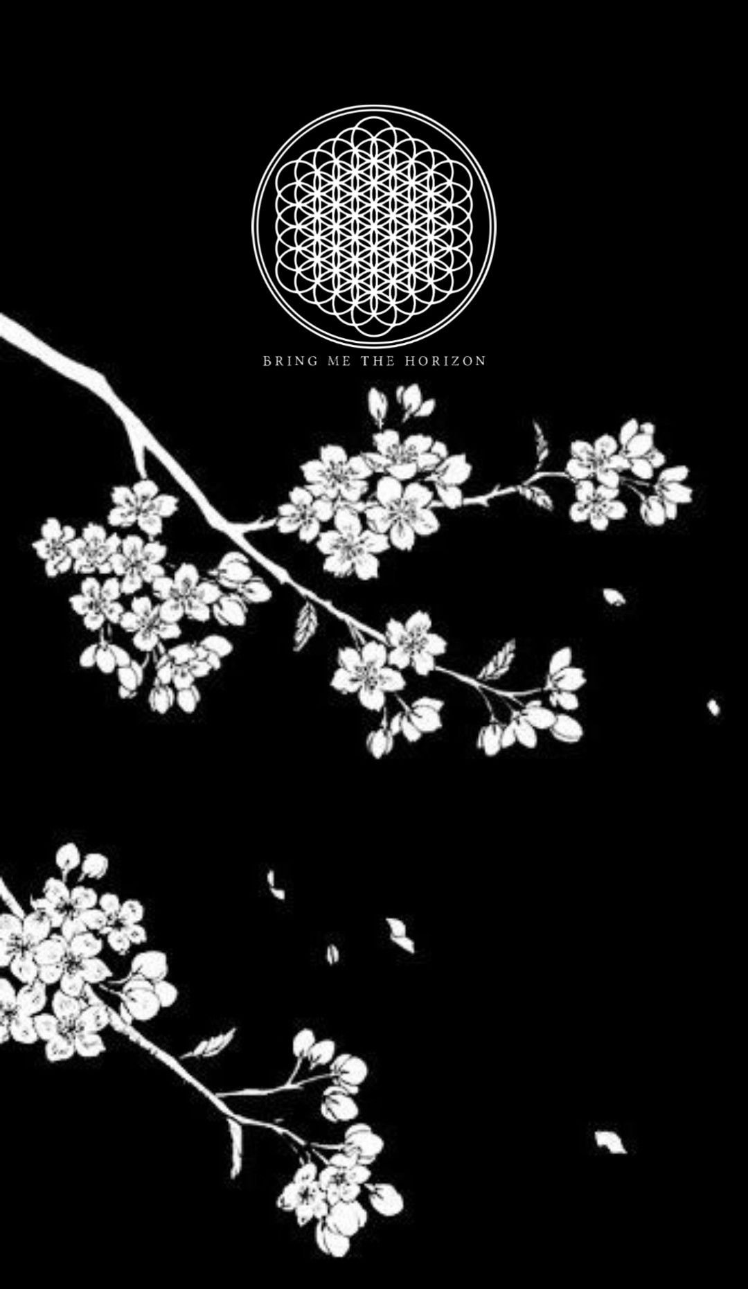 Белая Сакура на черном фоне