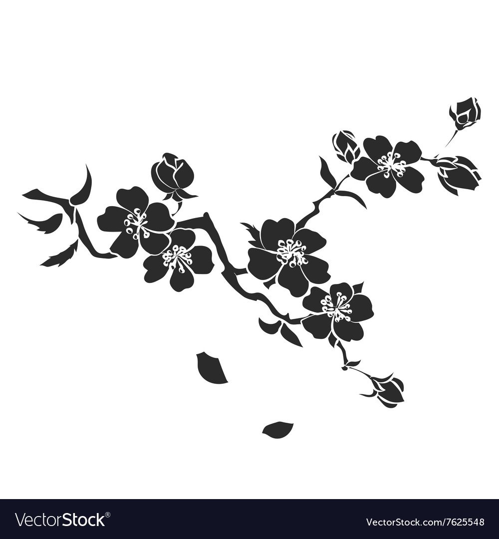 Сакура силуэт