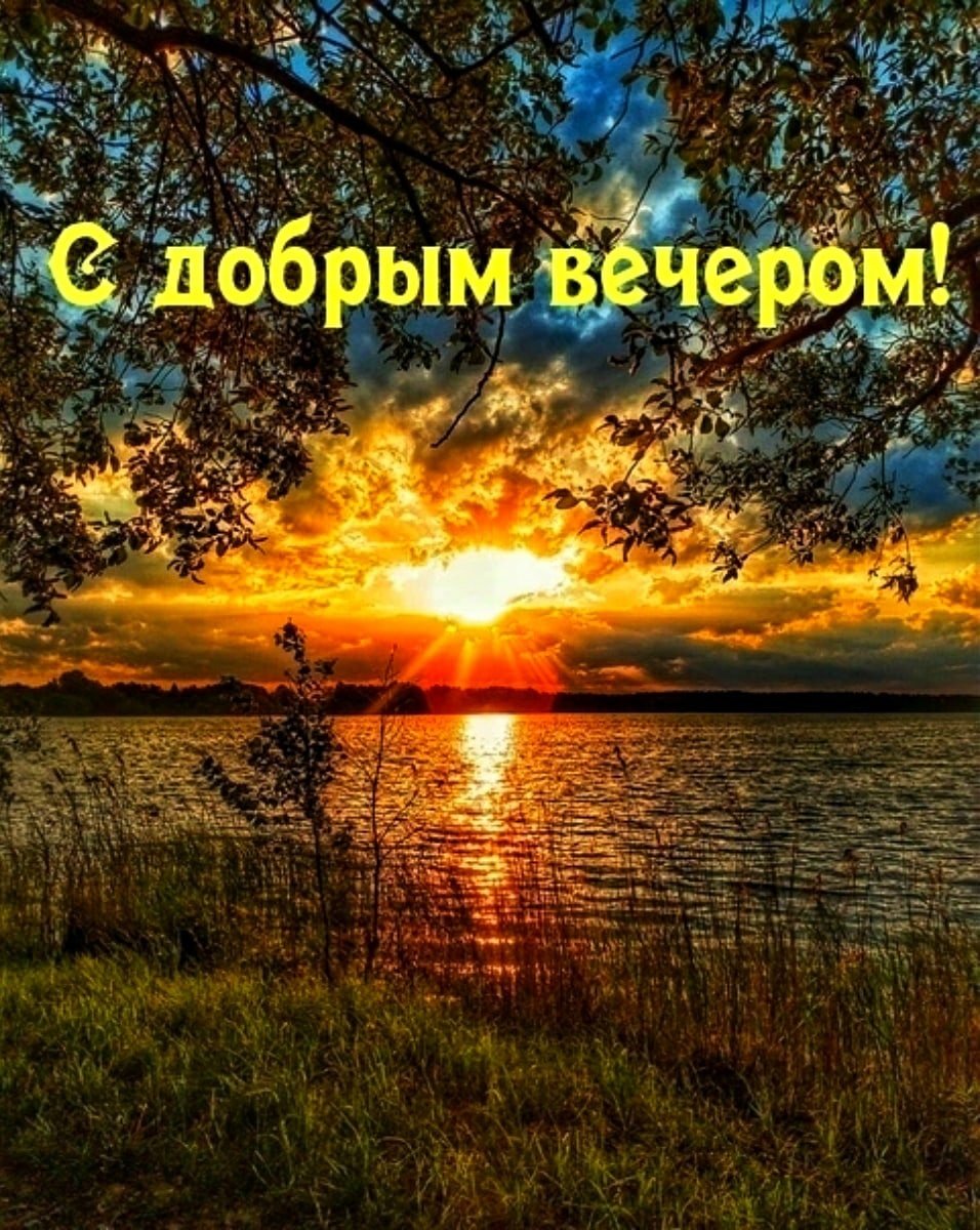 Спокойной уютной ночи