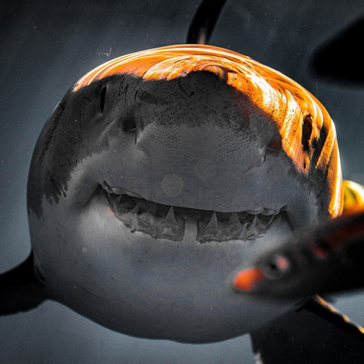 Приколы рисунки