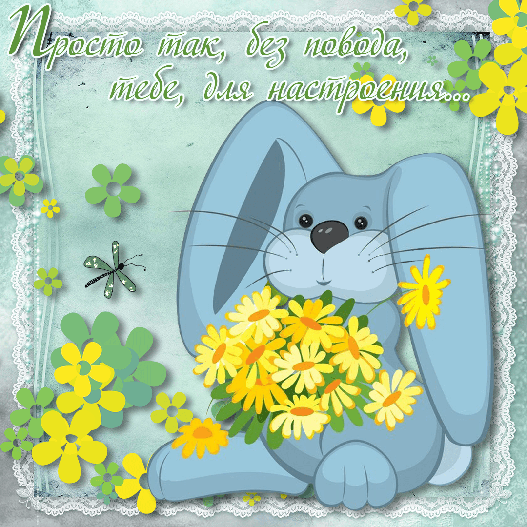 Веселые открытки