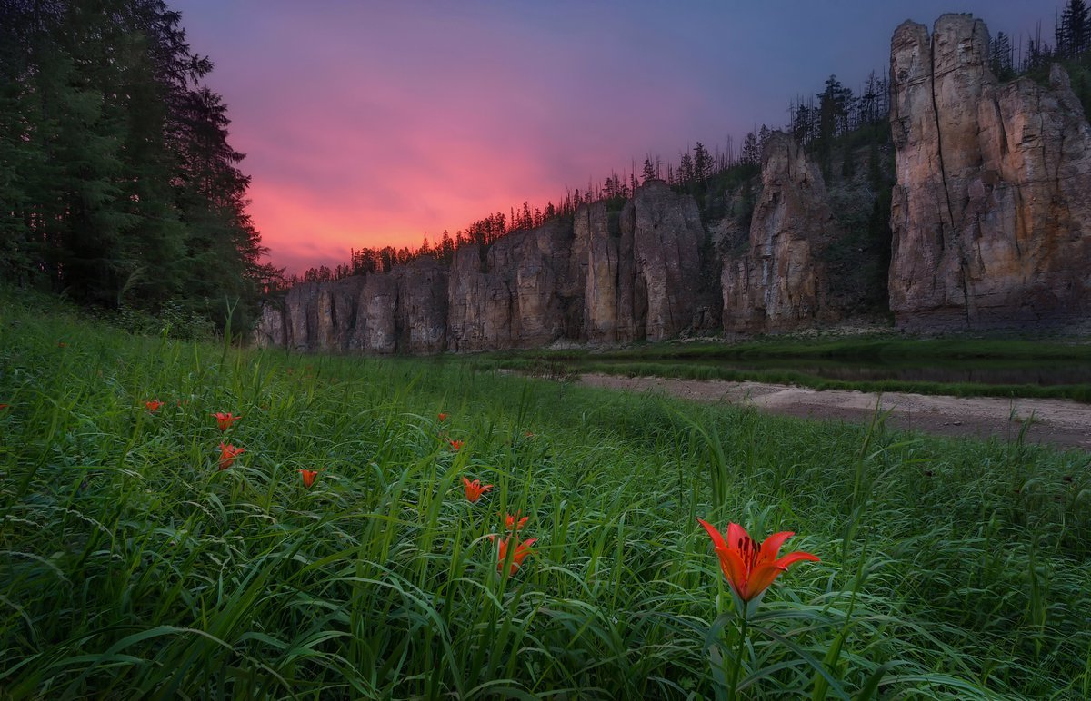 Олёкминский заповедник Флора
