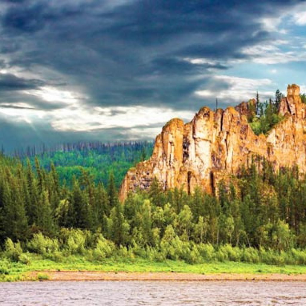 Полярный Урал тундра деревья цветы