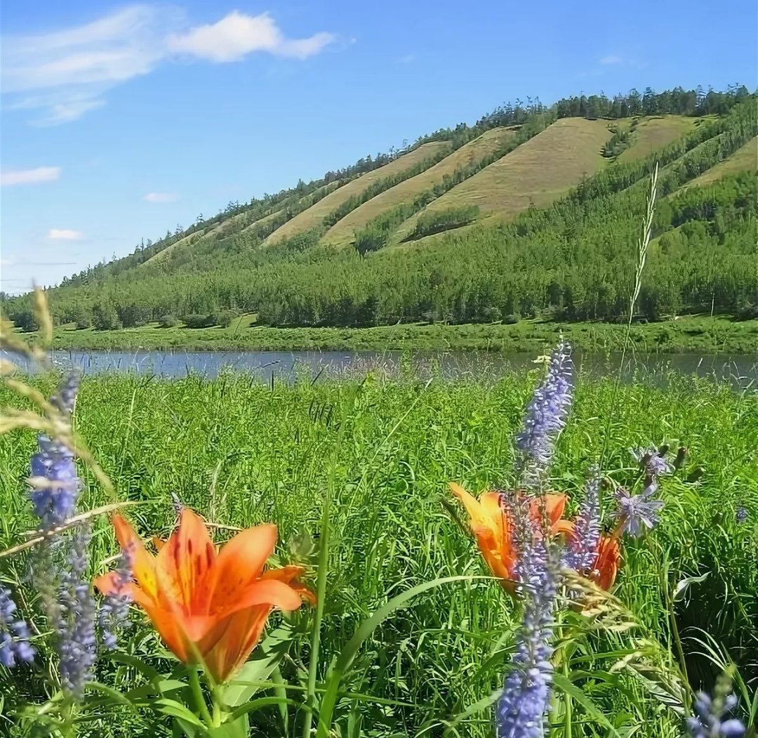 Синские столбы Саха Якутия река синяя зимняя