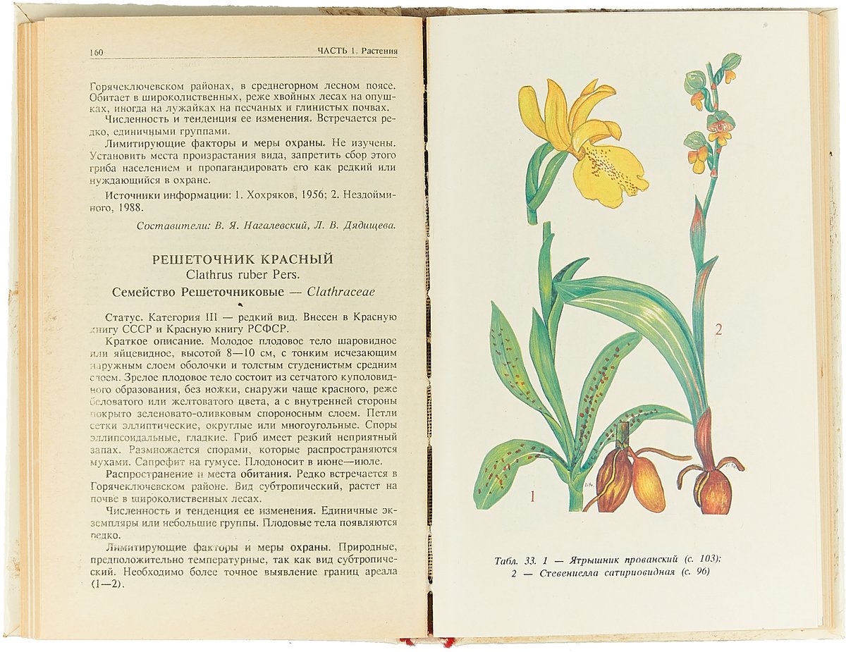 Растения которые занесены в красную книгу