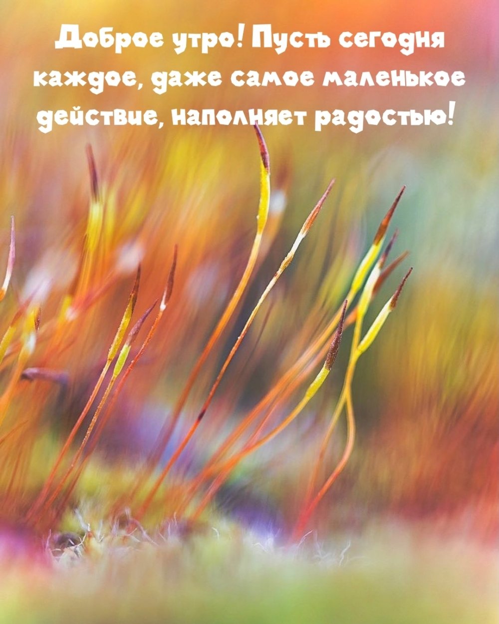 Утро всегда доброе