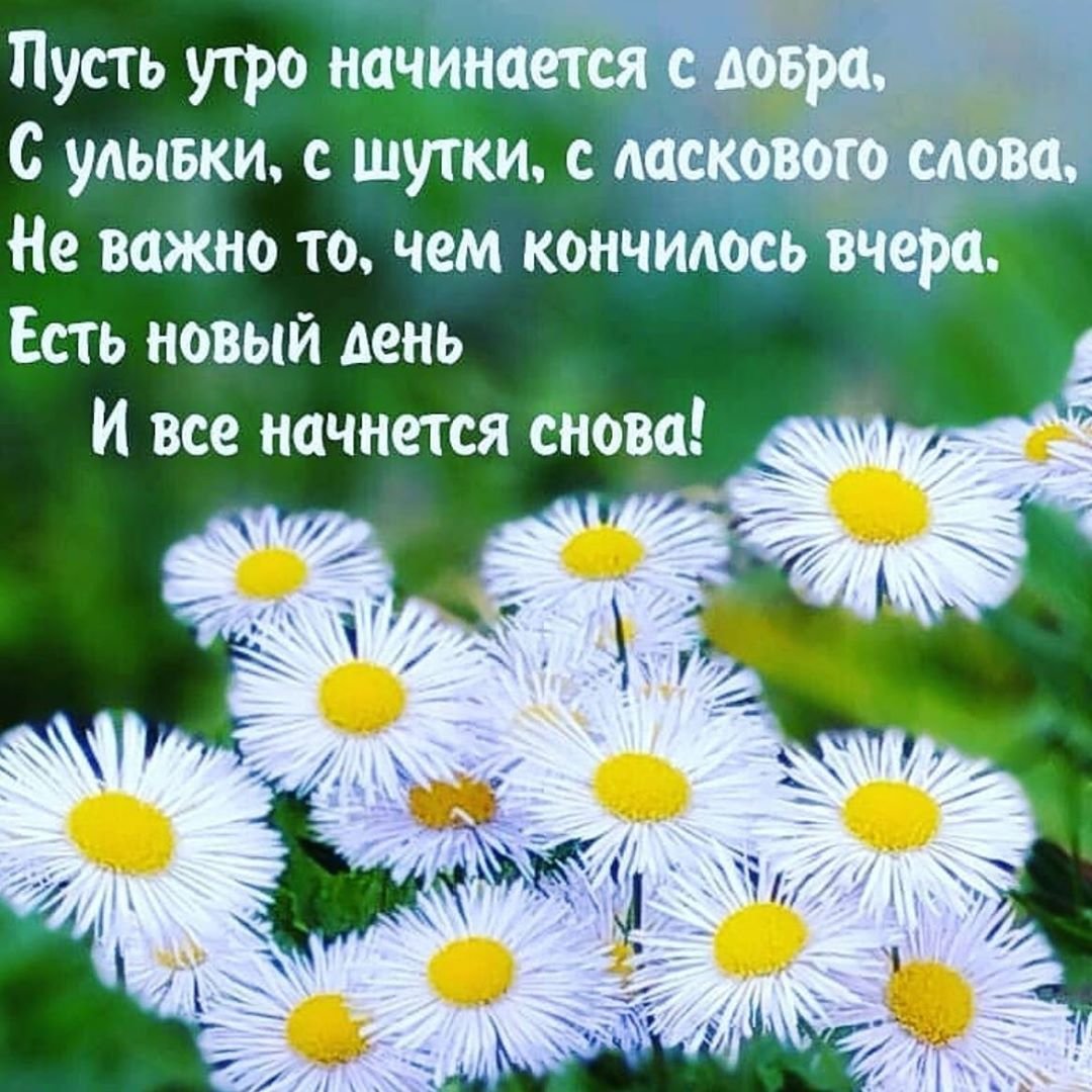 Немного счастья с утра
