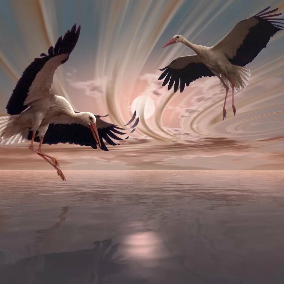 Два журавля