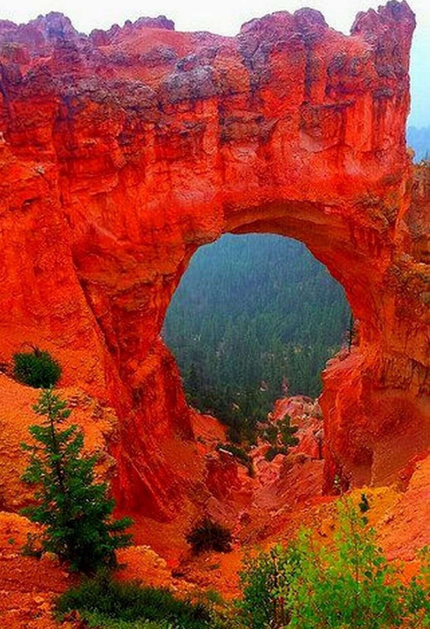 Каньон Бойнтон США