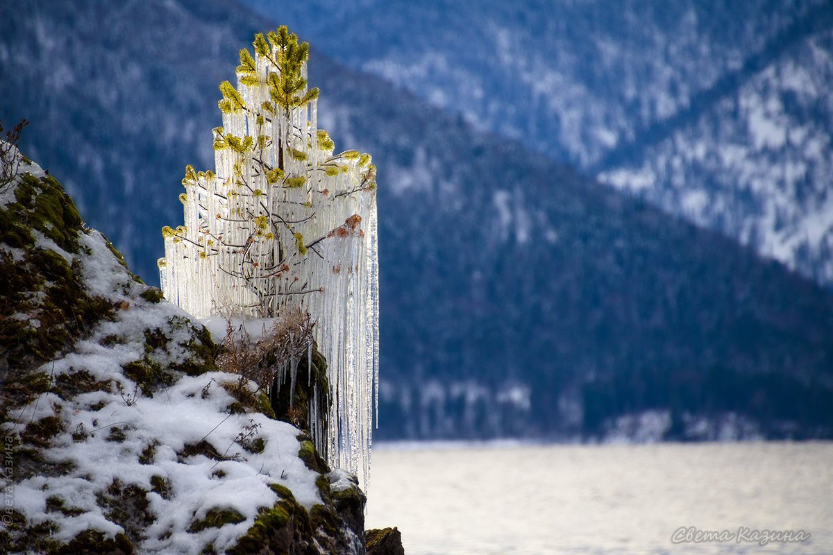 Телецкое озеро зимой