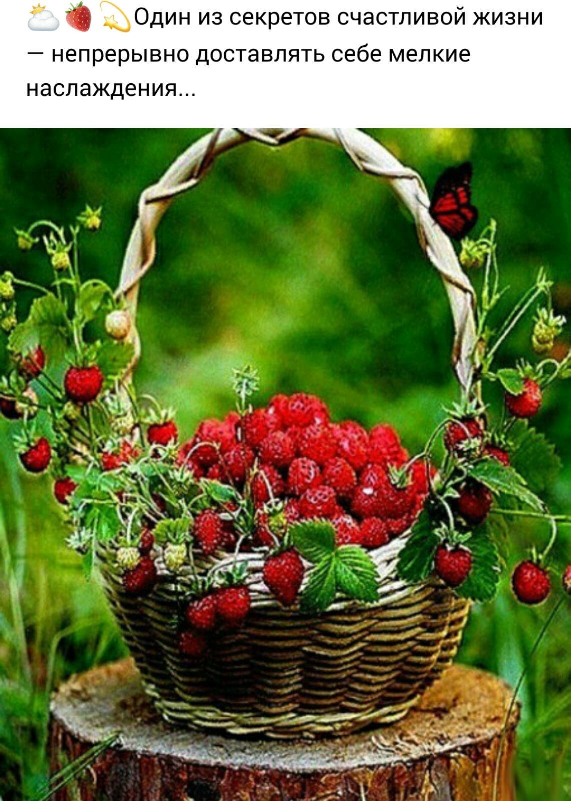 Ягодный букет