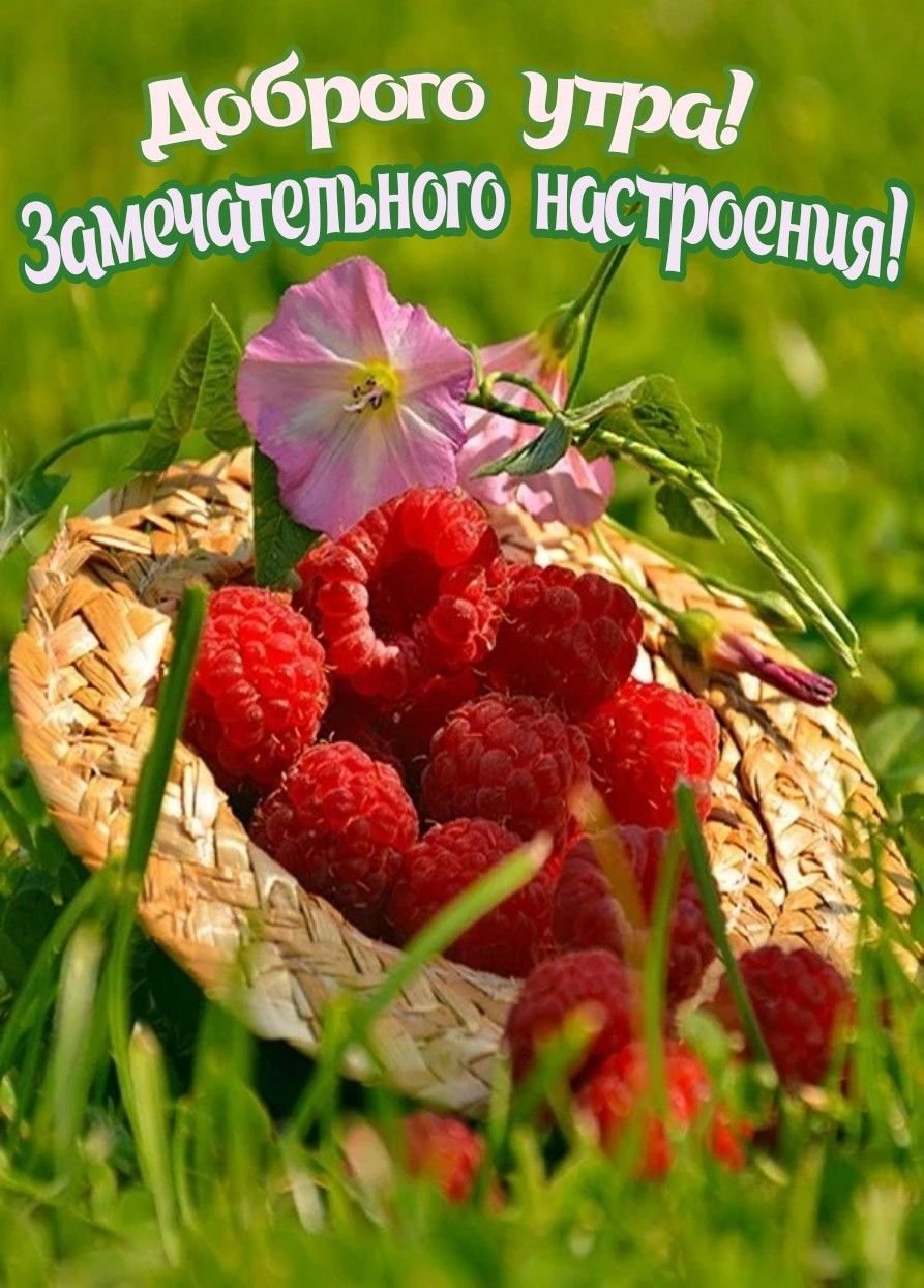 Лето фрукты ягоды