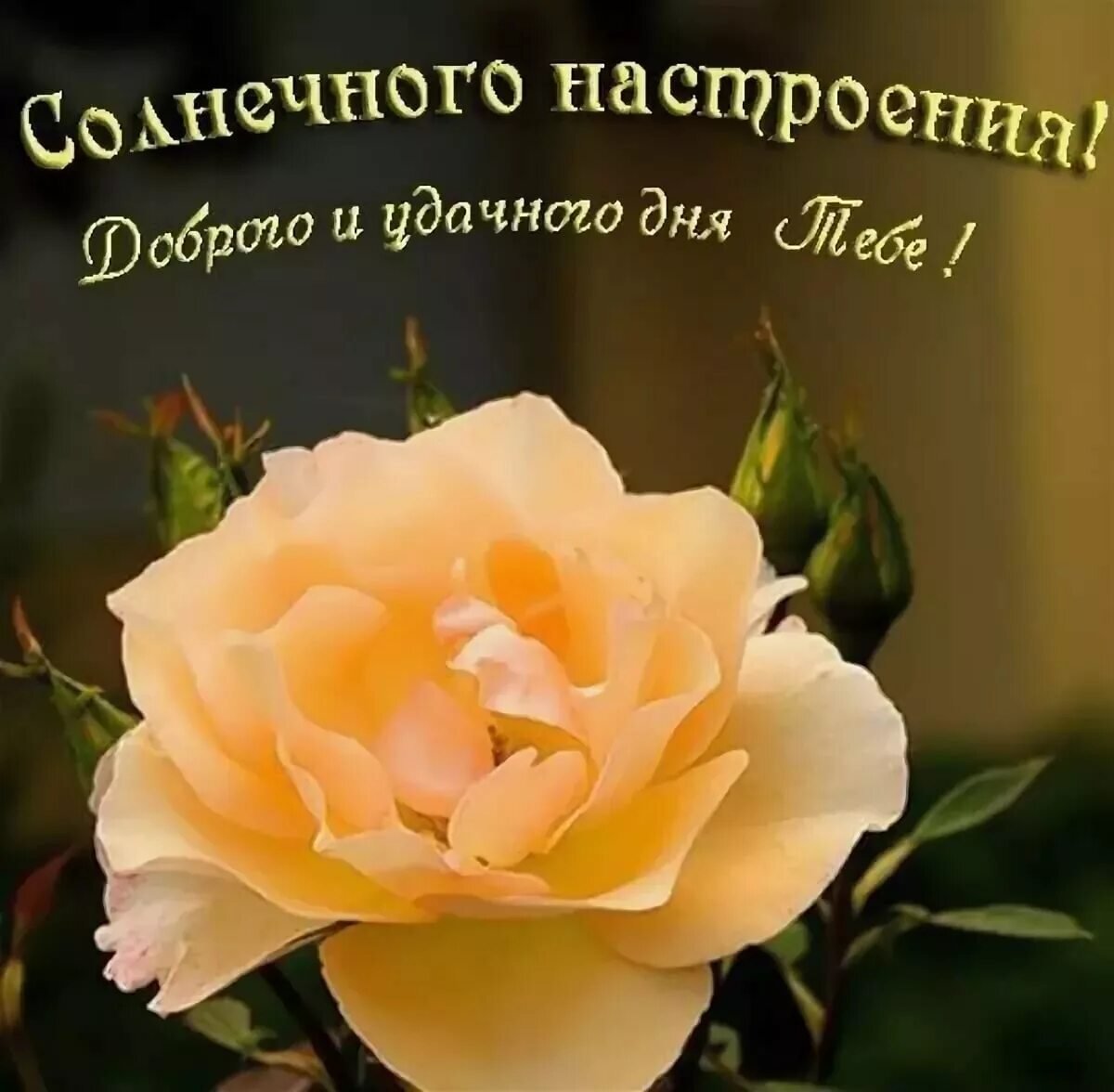 Хороший день