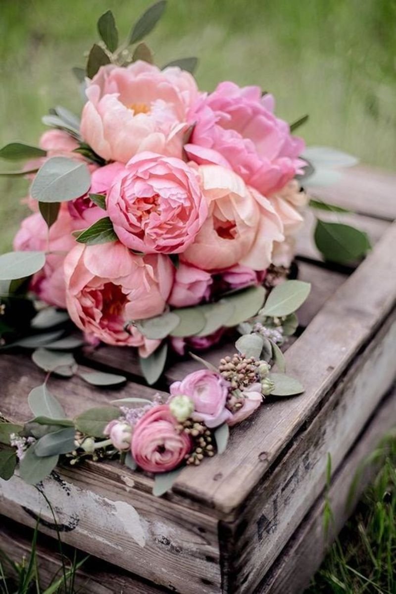 Anita-Austvika пионы