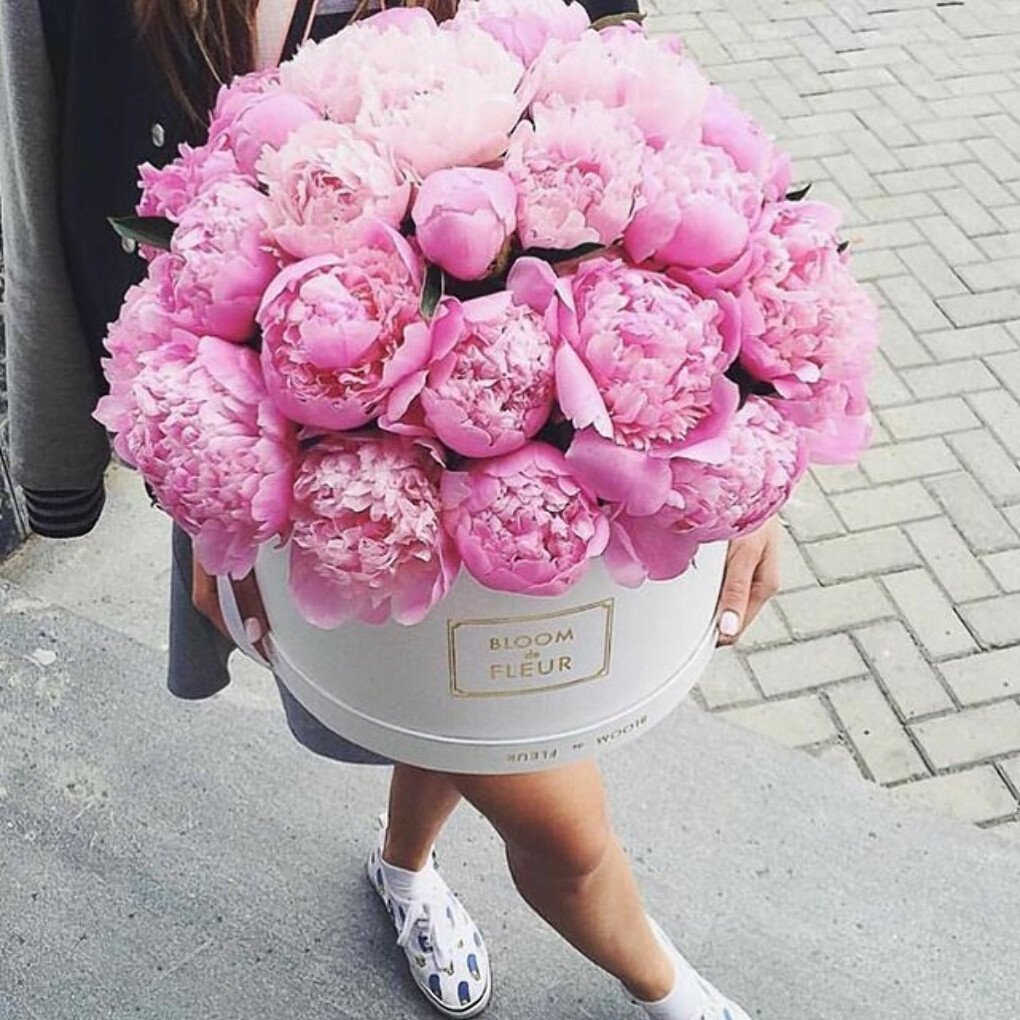 Цветы мода розовая