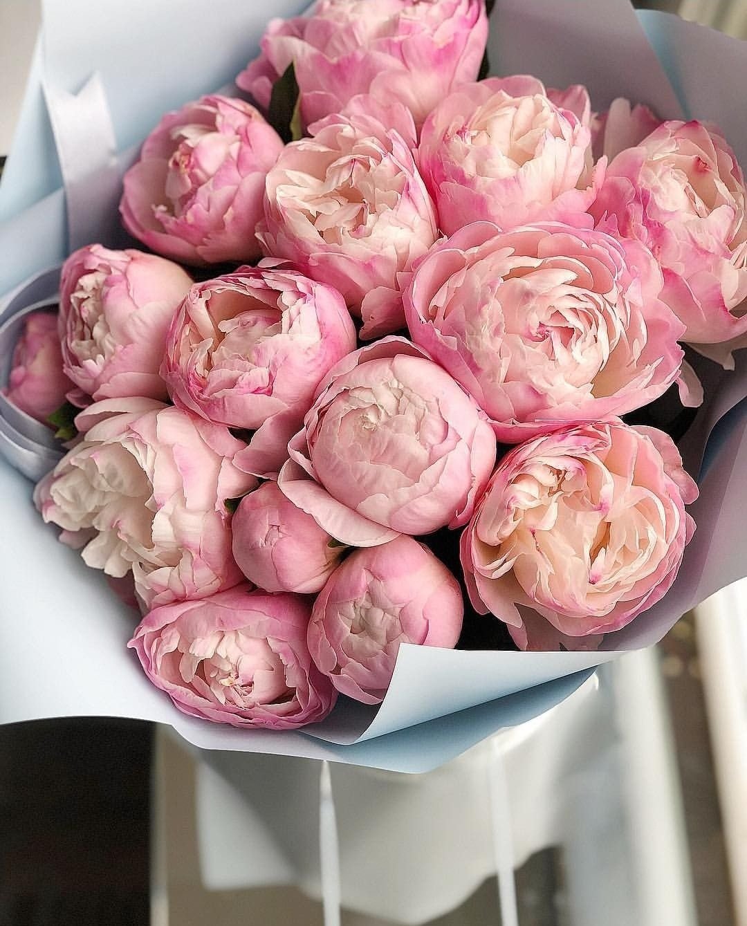 Пион розовидный