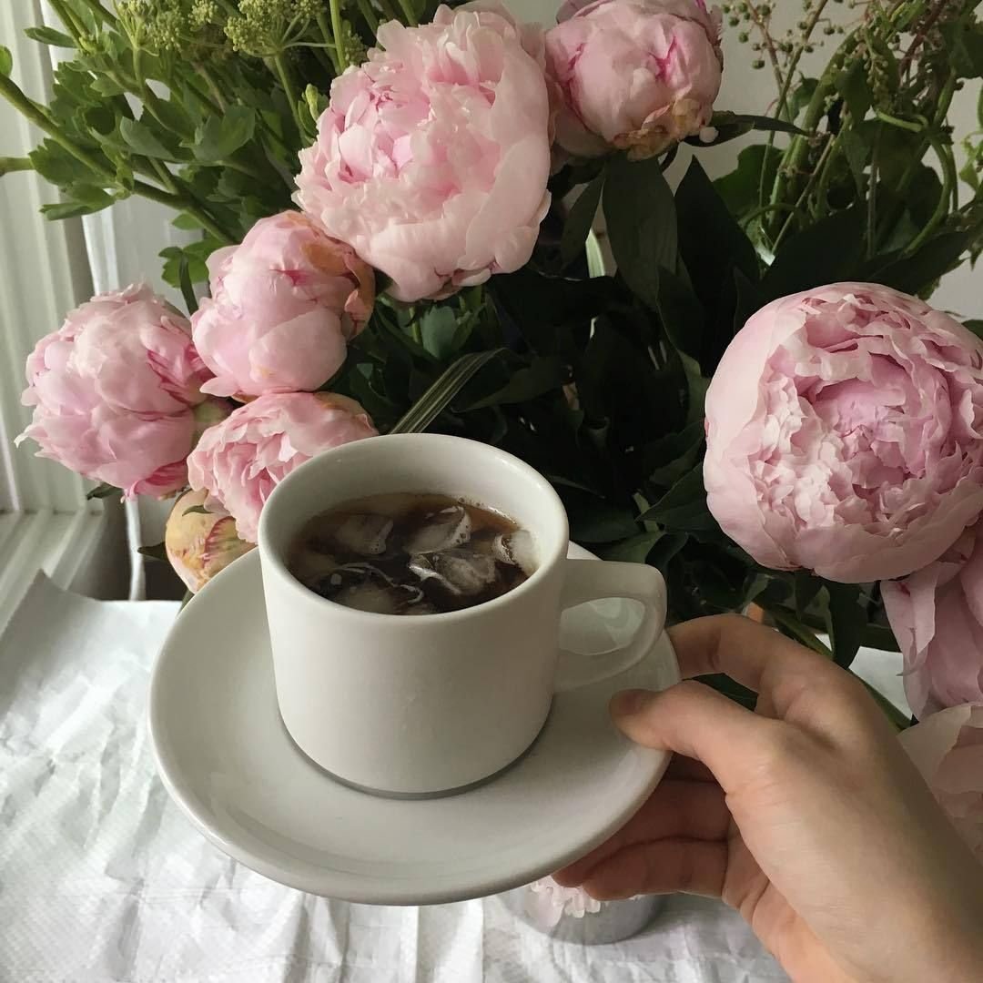 Елизавета Яшина нежные пионы