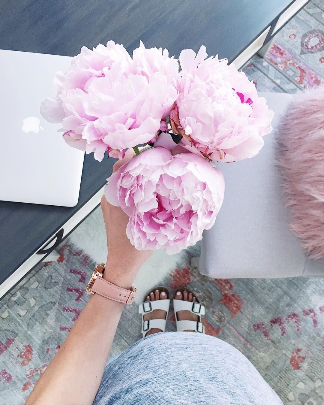 Пионы шебби Шик