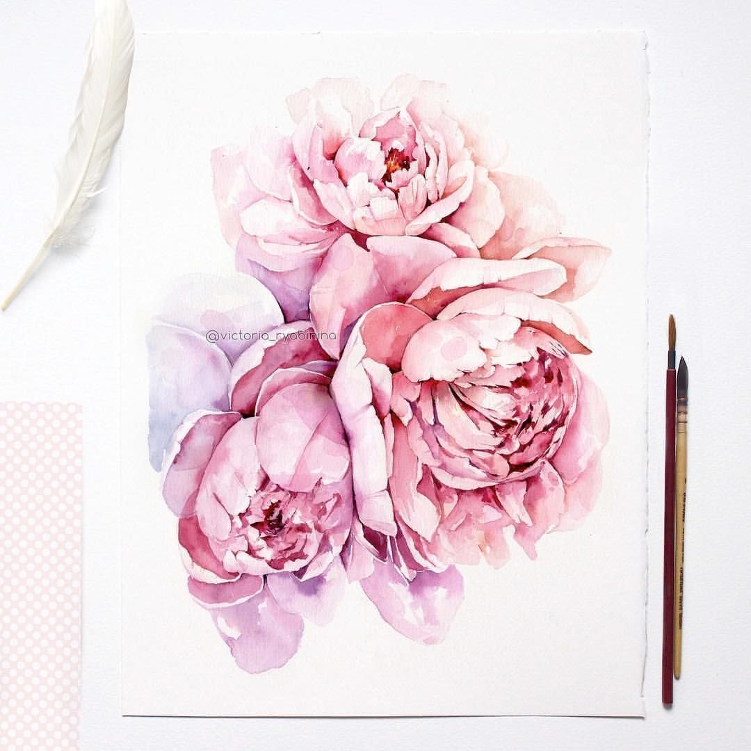 Стильные пионы