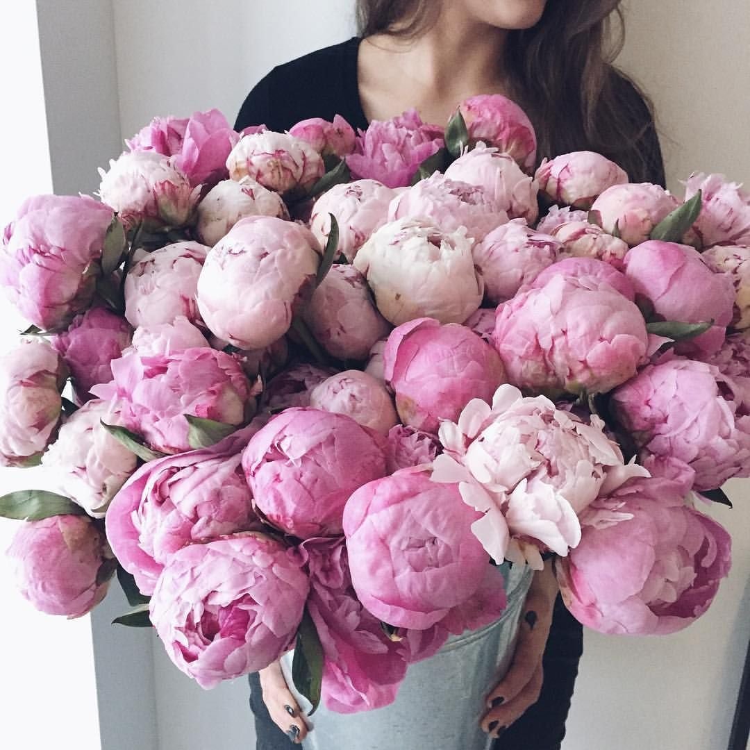 Ранункулюс и пионовидная роза