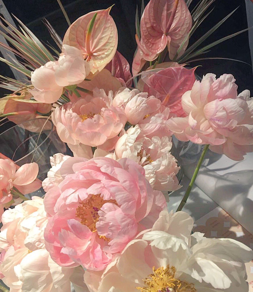 Пионы эскиз акварель