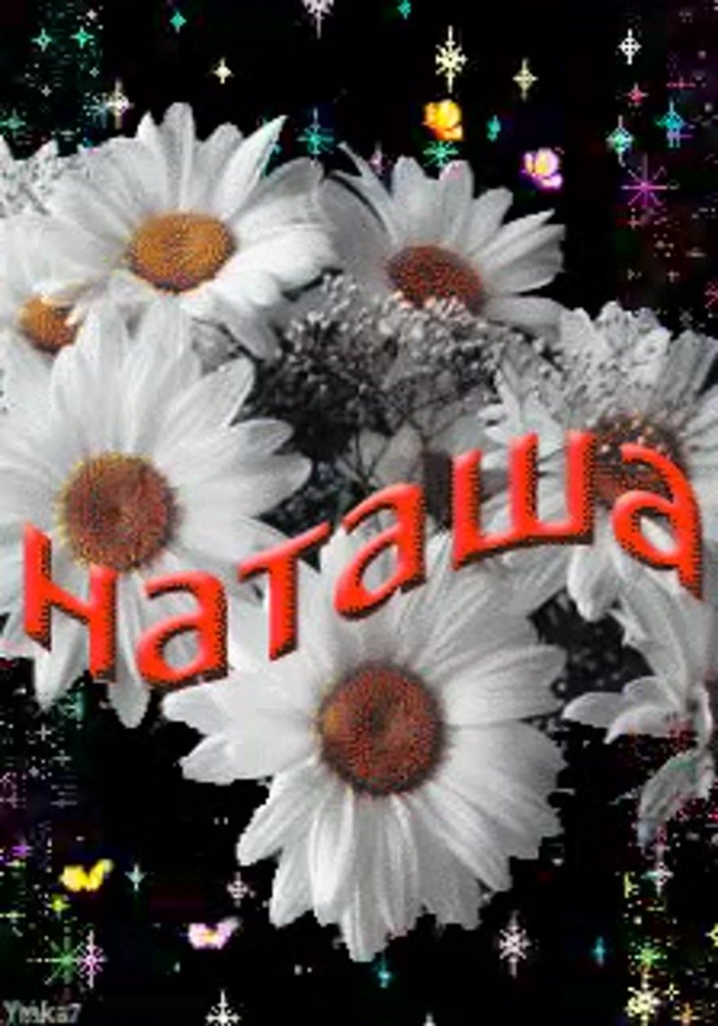 Открытка для Наташеньки с ромашками