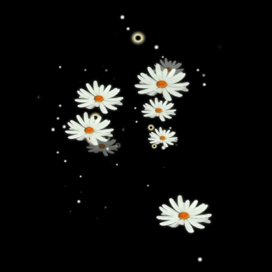 Ромашки анимация