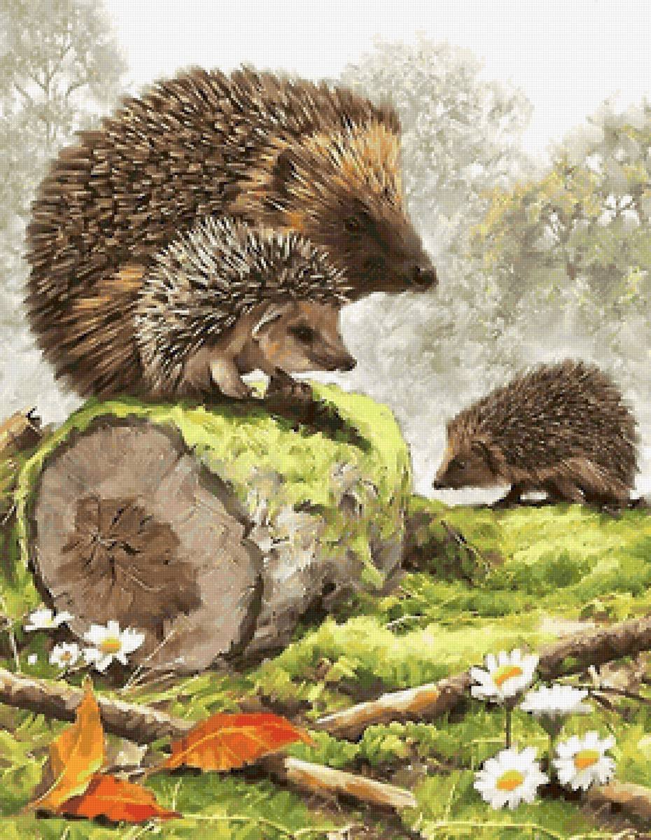 Картина «семья ежей» (серия «Дикие животные». Автор п.с. Меньшикова)