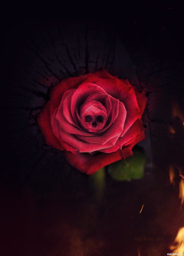 Мрачные розы